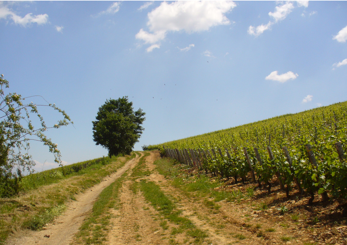 La Bourgogne