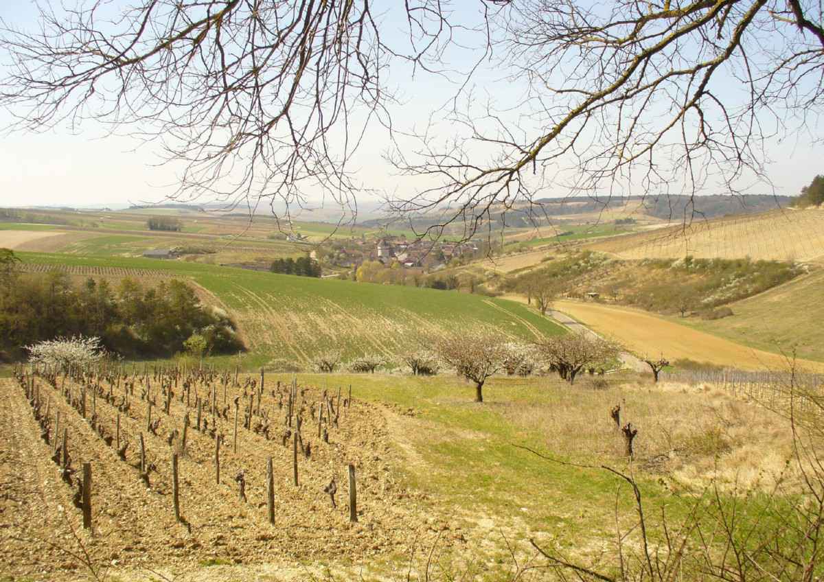 La Bourgogne
