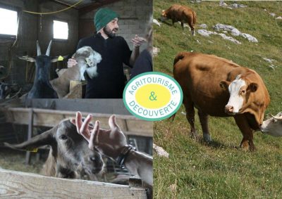 ferme en chartreuse