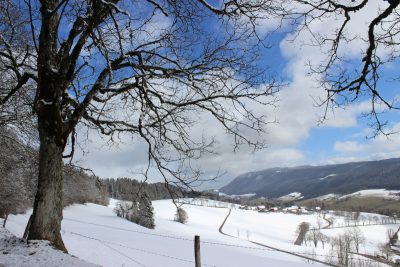 Le Haut Jura