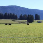 Jura, la Transfrontalière Centre