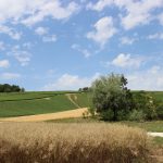Bourgogne :  “à la croisée des trois terroirs”